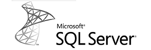 MSSQL database integration