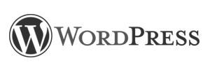 wordpress website agency